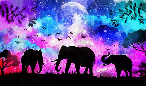 Elephant Night Shades 60x30 - SALE! - Diamond Art Dezigns