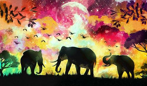 Elephant Sunset Shades - Diamond Art Dezigns