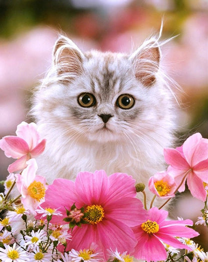 Kitten Flowers - Diamond Art Dezigns