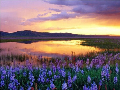 Lavender Sunset - Diamond Art Dezigns