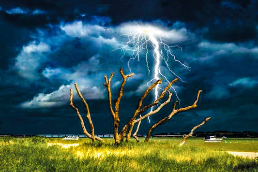 Lightening Tree - Diamond Art Dezigns