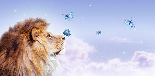 Lion & Butterfly - Diamond Art Dezigns