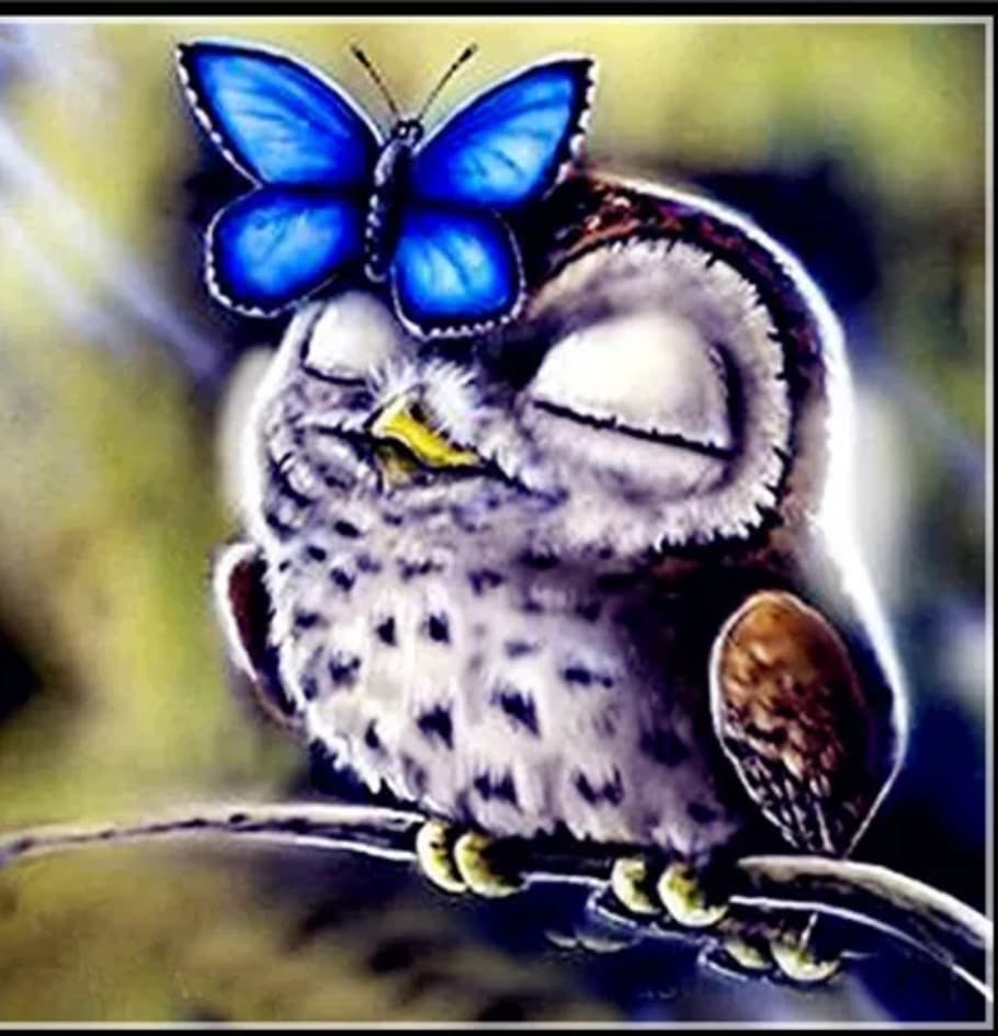 Owl Butterfly - Diamond Art Dezigns