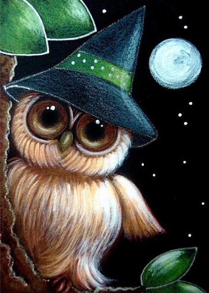 Owl Wizard - Diamond Art Dezigns