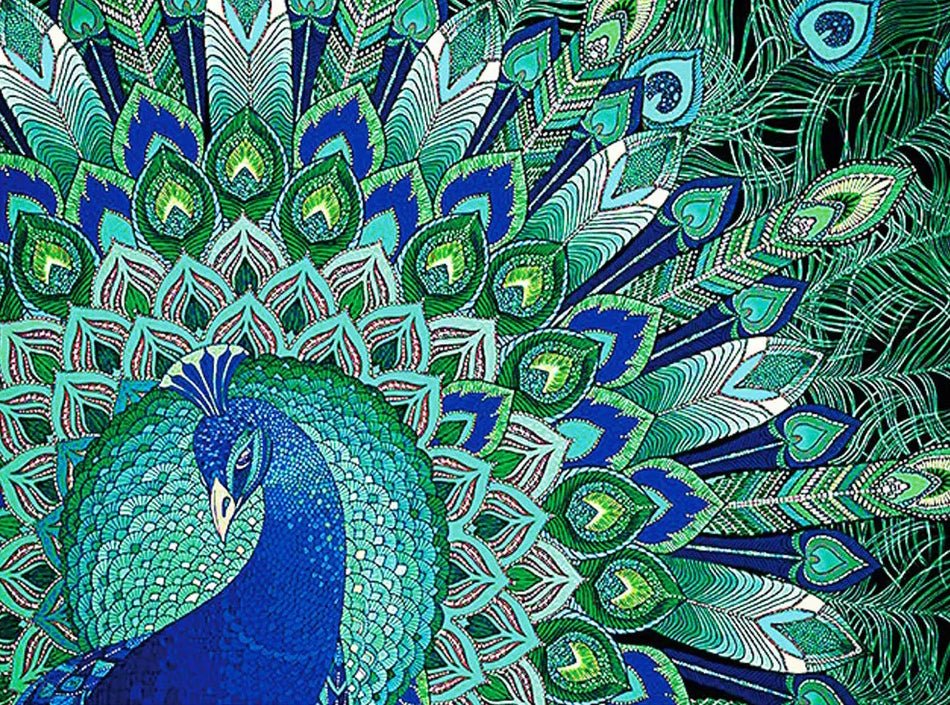 Peacock Pride - Diamond Art Dezigns
