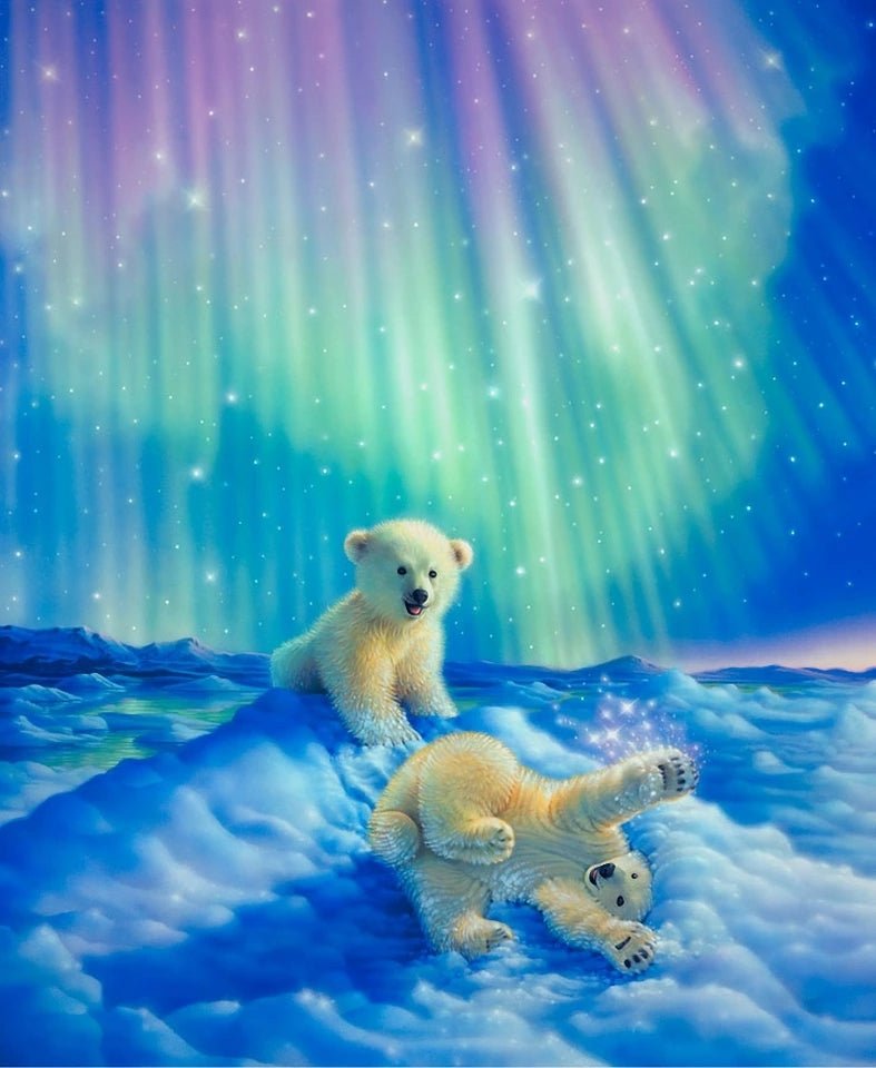 Polar Aurora - Diamond Art Dezigns