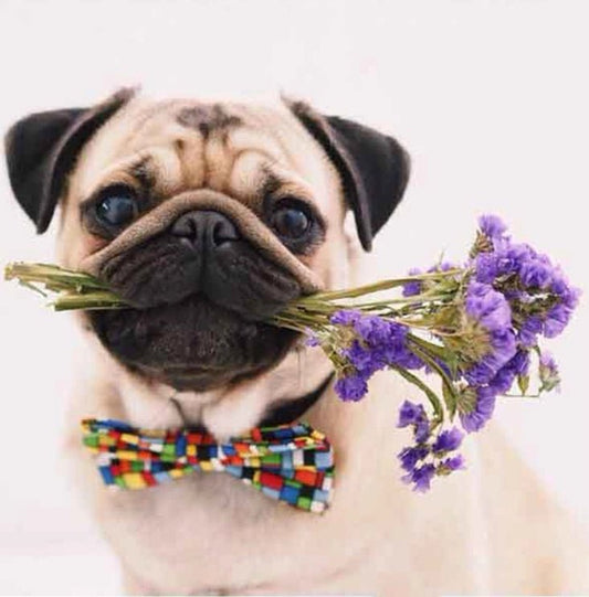 Pug Flower - Diamond Art Dezigns