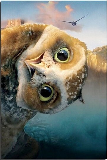 Quirky Owl - Diamond Art Dezigns