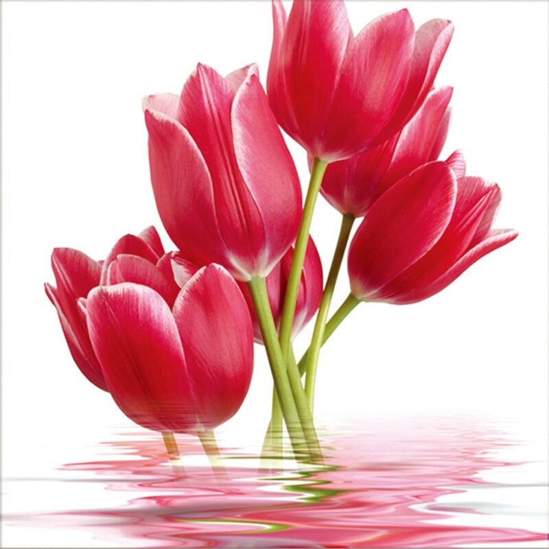 Red Flowers - Diamond Art Dezigns