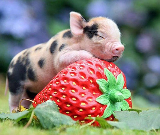 Strawberry Pig - Diamond Art Dezigns