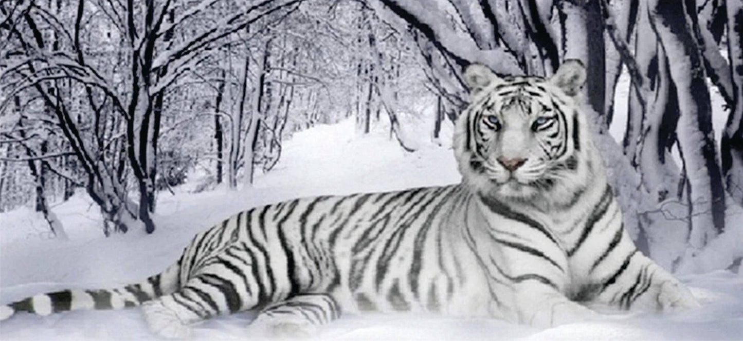 White Tiger - Diamond Art Dezigns