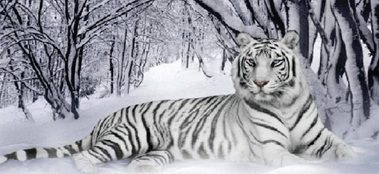 White Tiger - Diamond Art Dezigns