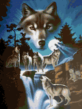 Wolf Mountain - Diamond Art Dezigns