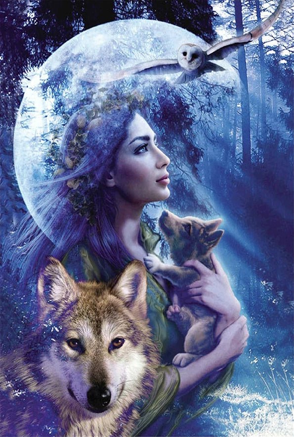 Wolf Owl Lady - Diamond Art Dezigns