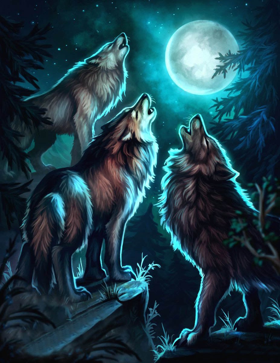 Wolves 3 - Diamond Art Dezigns
