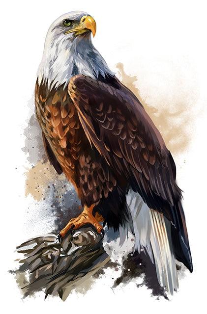 Eagle Branch - Full Drill 5D DIY Diamond Painting Kits - Diamond Art Dezigns