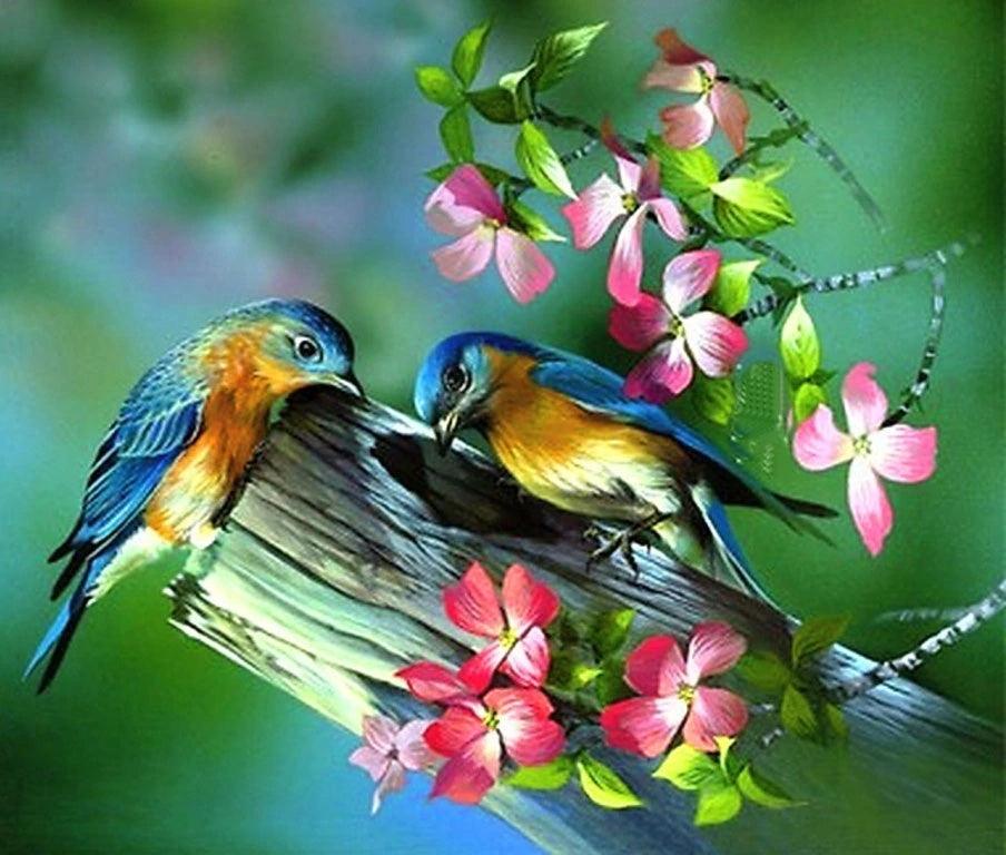 Blue Love Birds - Full Drill 5D DIY Diamond Painting Kits - Diamond Art Dezigns