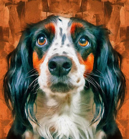 English Setter - Diamond Art Dezigns