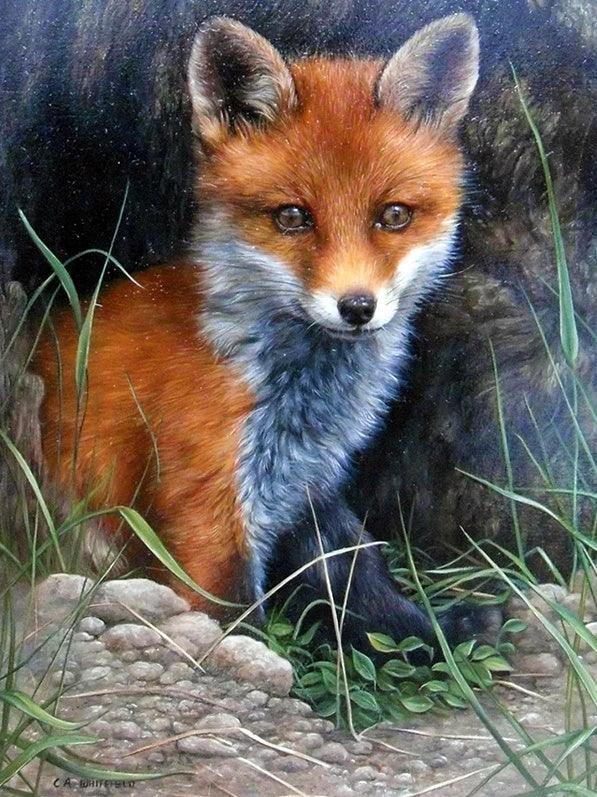Fox Cub - Diamond Art Dezigns