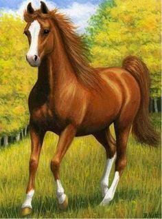 Horse Brown 30x40 SALE! - Diamond Art Dezigns