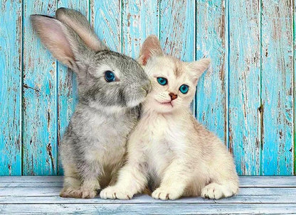 Kitten & Bunny - Diamond Art Dezigns
