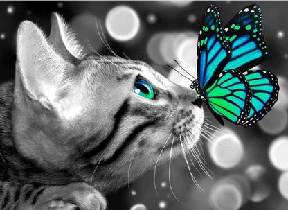 Kitten Butterfly - Diamond Art Dezigns