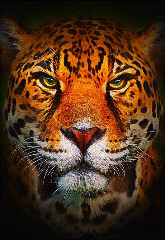 Leopard Stare 30x40 SALE! - Diamond Art Dezigns