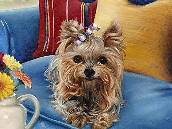 Silky Terrier - Diamond Art Dezigns